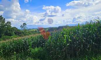 Imagem 3: Área de 36.400m para chácara com bosque e córrego em Catanduvas do Sul