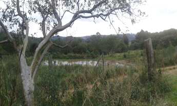 Imagem 4: Sítio!!! Chácara com venda por R$300.000