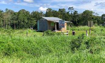 Imagem 11: Fazenda a 25 km de Feijo