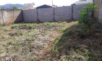 Imagem 2: BORDA DA MATA - Terreno Padrão - Nossa Senhora Aparecida