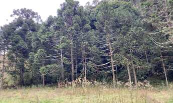 Imagem 3: Terreno de 2 hectare em Urubici