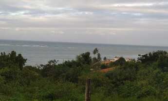 Imagem 2: Lote/Terreno para venda possui 2700 metros quadrados