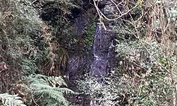 Imagem 5: Terreno de 2 hectare em Urubici