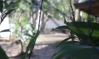 Imagem 2: FLORIANóPOLIS - Terreno Padrão - Tapera da Base