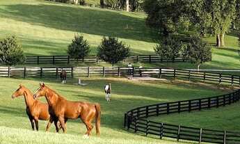 Imagem 2: Você sonha a gente realiza