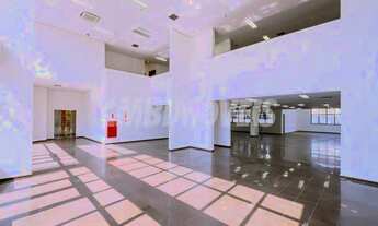 Imagem 6: Salão - Vila Itapura - Campinas