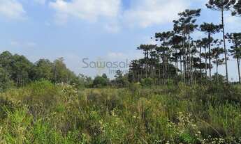 Imagem 2: Terreno para Venda em Guatupê São José dos Pinhais-PR