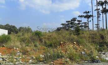 Imagem 5: Terreno para Venda em Guatupê São José dos Pinhais-PR
