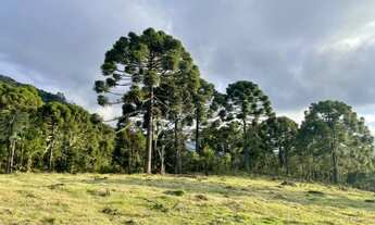 Imagem 6: Chácara a venda em Urubici-SC