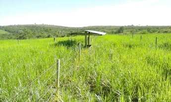 Imagem 6: Excelente fazenda em Presidente Olegário/MG- oportunidade