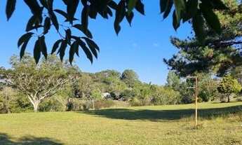 Imagem 7: Magnífico sítio de 8 hectares a 100 metros RS118, Viamão