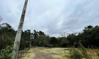 Imagem 6: CHÁCARA COM RIACHO A 1 KM DA RS020
