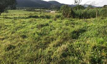 Imagem 3: Terrenos direto no asfalto