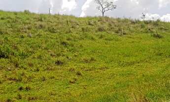 Imagem 2: Você que gosta de plantação