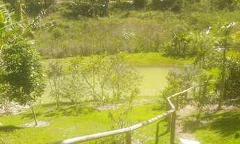 Imagem 5: Chácara em Santa Teresa-ES