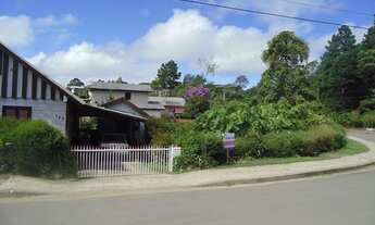 Imagem 3: Terreno Residencial à venda, Santa Terezinha, Canela - TE0723