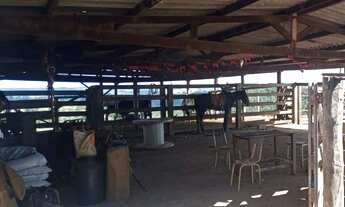 Imagem 6: Fazenda a venda em perdizes MG