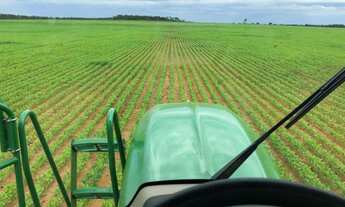 Imagem 4: Fazenda Premium | 391 Alqueires | Safra e safrinha