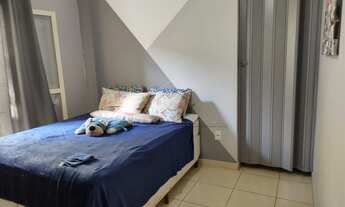 Imagem 4: Ribeirão Preto - Casa Padrão - Jardim Doutor Paulo Gomes Romeo