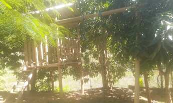 Imagem 6: Chácara em Santa Teresa-ES