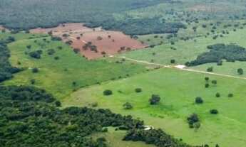 Imagem 2: Fazenda em Talismã - TO com 268 alqueires