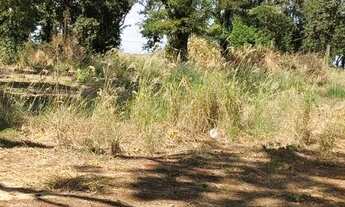 Imagem 2: Recreio Campestre Idanorma, Araraquara, SP