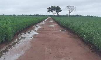 Imagem 2: Fazenda Premium | 391 Alqueires | Safra e safrinha