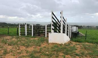 Imagem 2: Vendo um terreno com 15 tarefas de terra