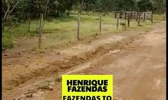 Imagem 3: Fazenda entre Brejinho e Aliança excelente lavoura Tocantins