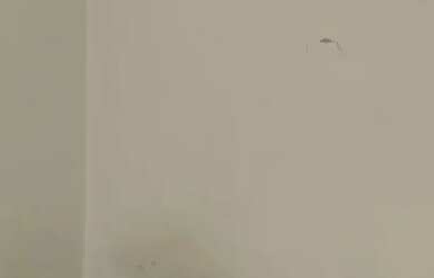 Imagem 2: Aluga-se Kitnet 2 dois quartos com garagem