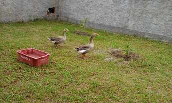 Imagem 5: EXCELENTE TERRENO PARA VENDA EM UNAMAR / CABO FRIO-RJ