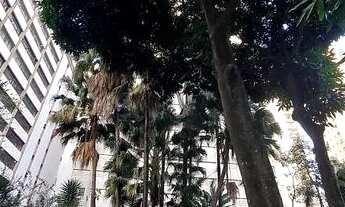 Imagem: Apartamento para aluguel e venda tem 166