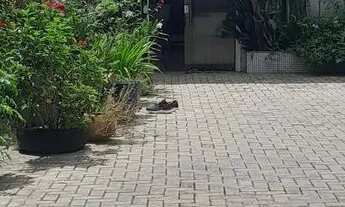 Imagem 4: Apartamento/ Casa