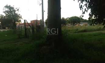 Imagem 5: Terreno em Restinga