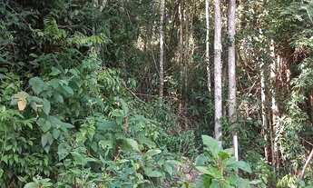 Imagem 3: Sitio Domingos Martins 100 mil