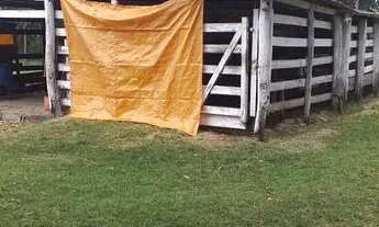 Imagem 3: Sitio em cassia dos coqueiros 2 alqueires 600 mil ( don