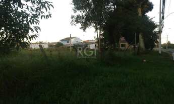 Imagem 3: Terreno em Restinga