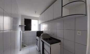 Imagem 3: Alugo Solar da Ilha