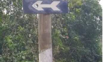 Imagem 3: Terreno a venda com 363 m², em Itanhaém/SP