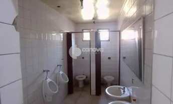 Imagem 6: Galpão - Jardim Aparecida - Campinas