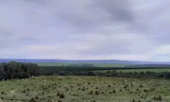 Imagem 6: Fazenda em Pedregulho SP com 50 alqueires a 120 o alqueire