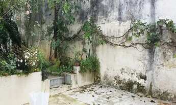 Imagem 6: São Paulo - Casa Padrão - Jardim Regina