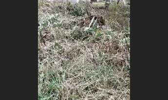 Imagem 5: Terreno escriturada a venda na praia, metragem de 250 m². Itanhaém/SP