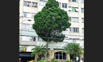 Imagem: Apartamento para aluguel possui 34 metros