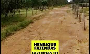 Imagem 4: Fazenda entre Brejinho e Aliança excelente lavoura Tocantins