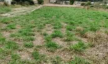 Imagem: Vendo lote 1000m2