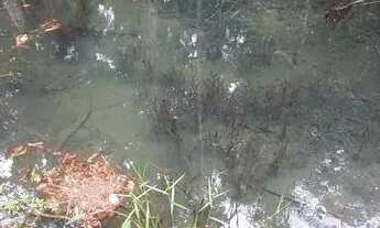 Imagem 4: Vende-se ou troca-se 23 km de Salinas