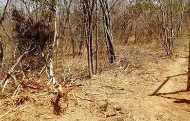 Imagem 4: Terreno localizado em Francisco Sá a 5 reais o metro