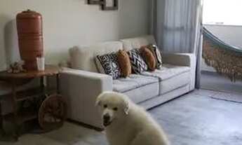 Imagem: Cobertura em Piedade