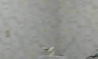 Imagem 5: Kitinet Casa com 1 dormitório